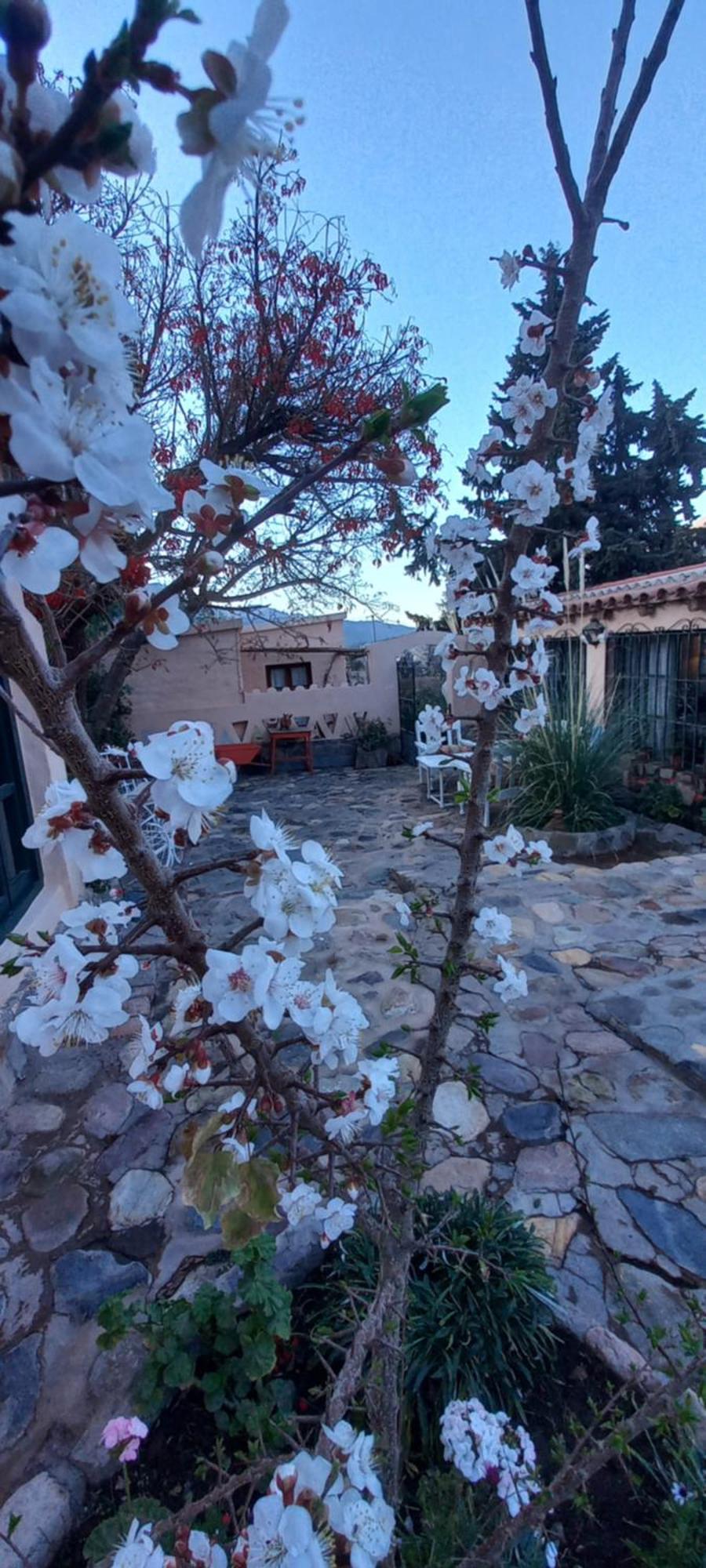 Los Arcabuceros Casa Hotel Boutique Tilcara Exterior photo